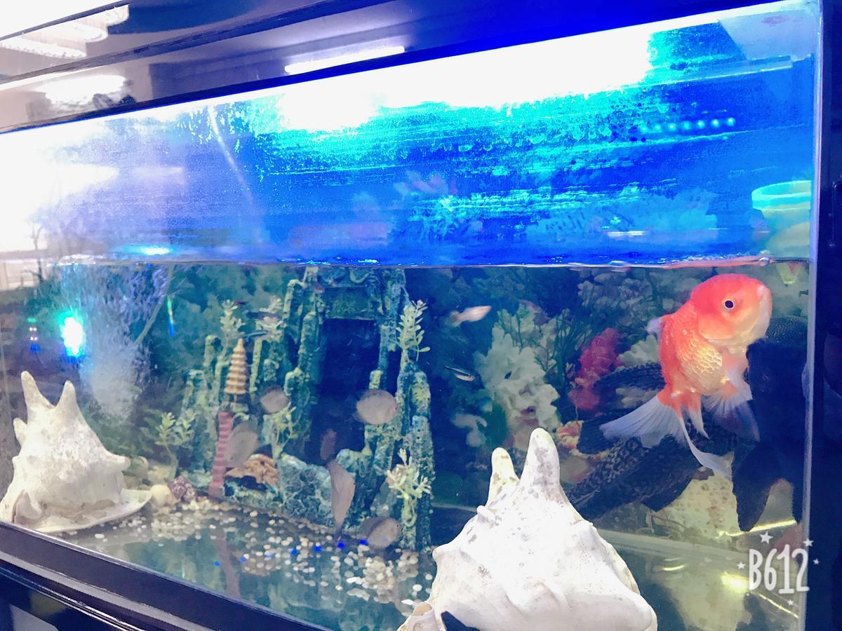 Bien Dong Hotel Nha Trang Eksteriør bilde